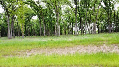 1210 Buck Trail Pottsboro TX 75076