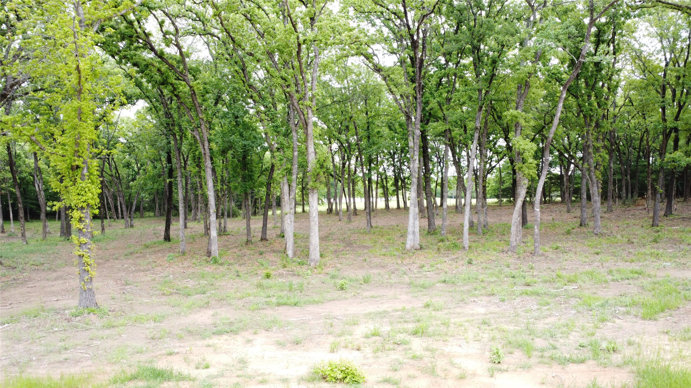 1210 Buck Trail Pottsboro TX 75076