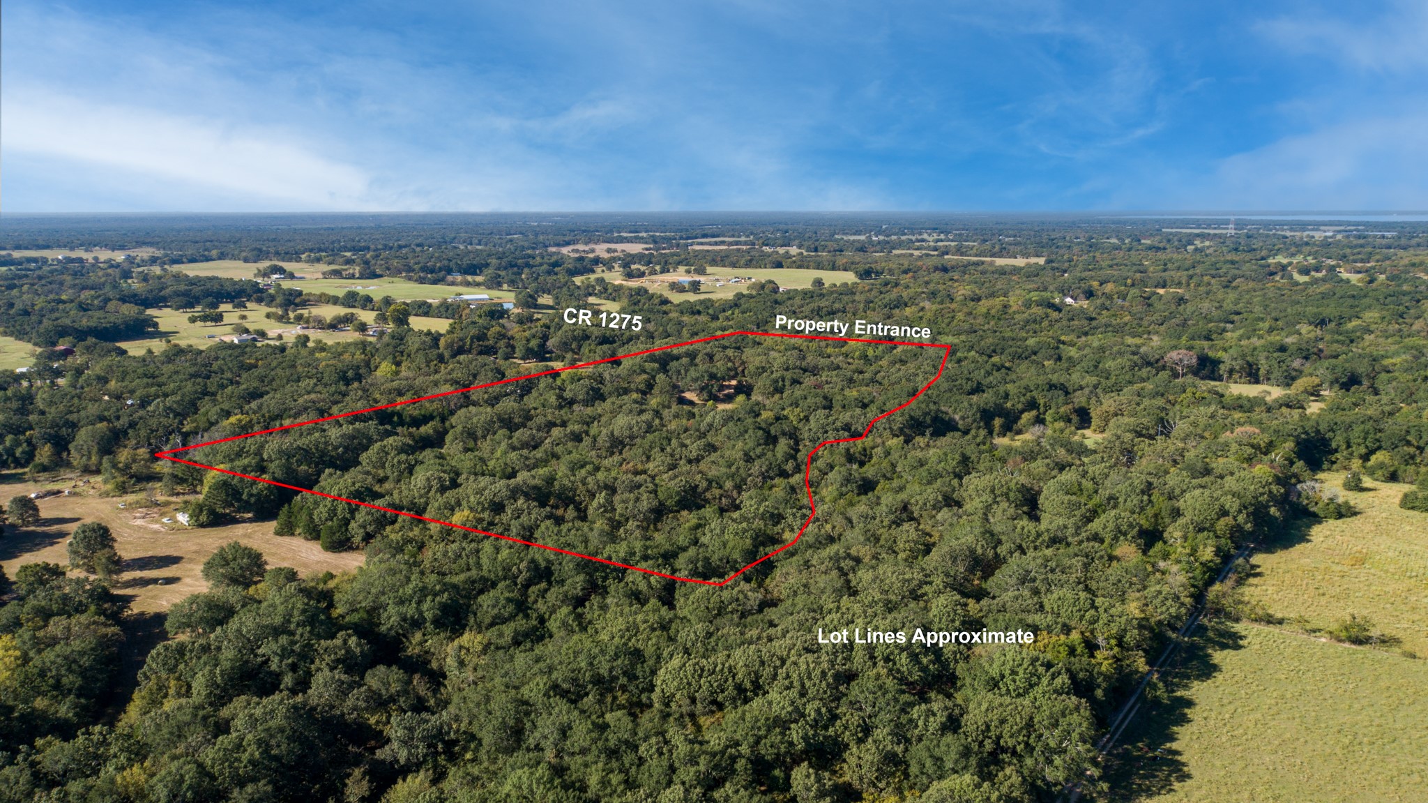 412 Rs County Road 1275 Emory TX 75440