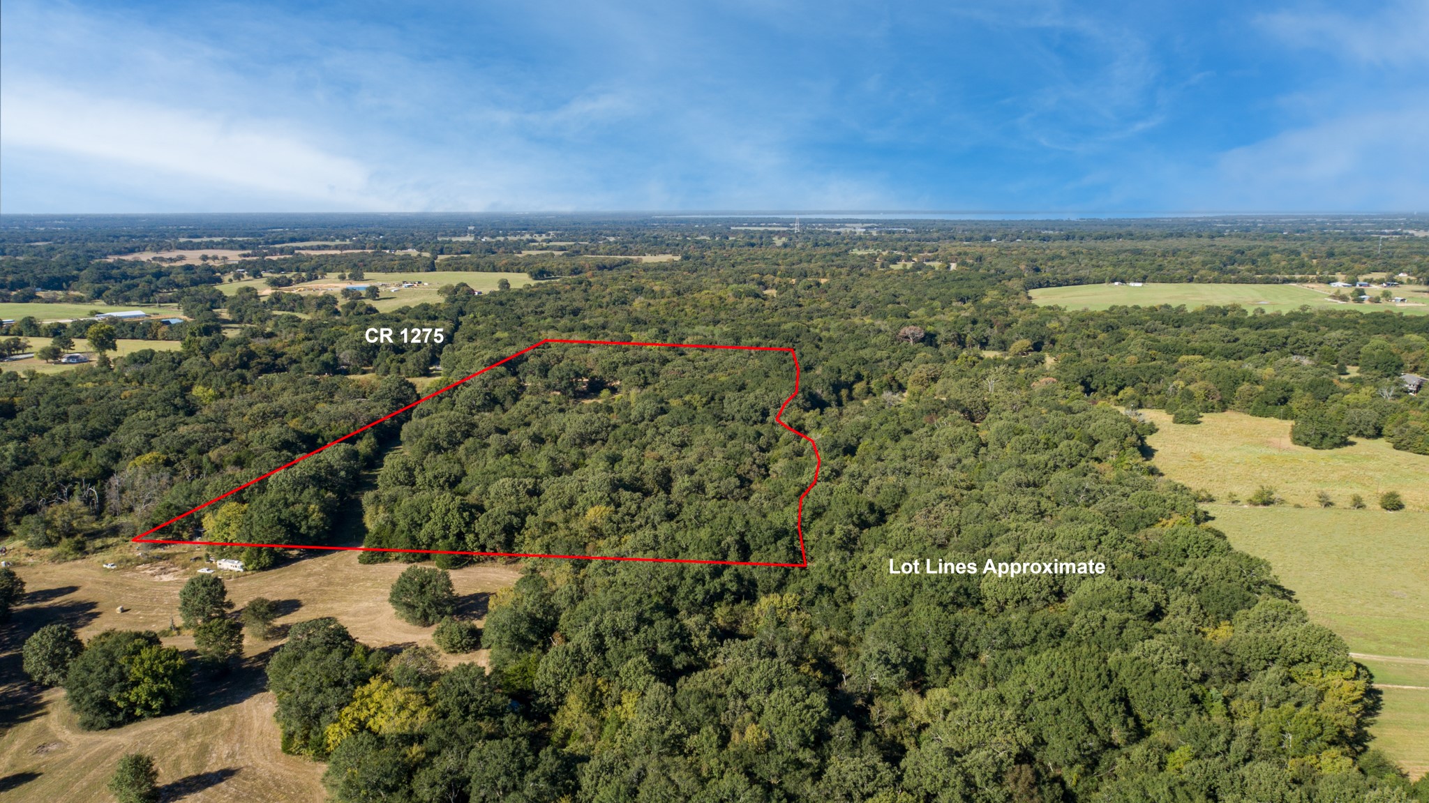412 Rs County Road 1275 Emory TX 75440