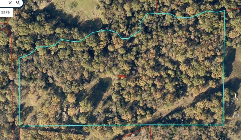 412 Rs County Road 1275 Emory TX 75440