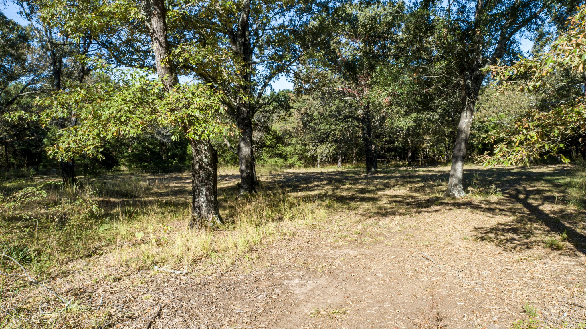 412 Rs County Road 1275 Emory TX 75440