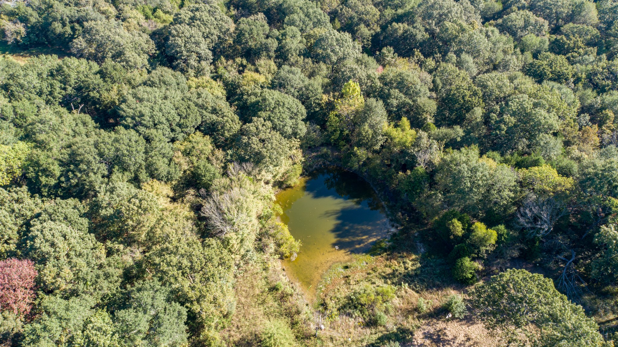 412 Rs County Road 1275 Emory TX 75440