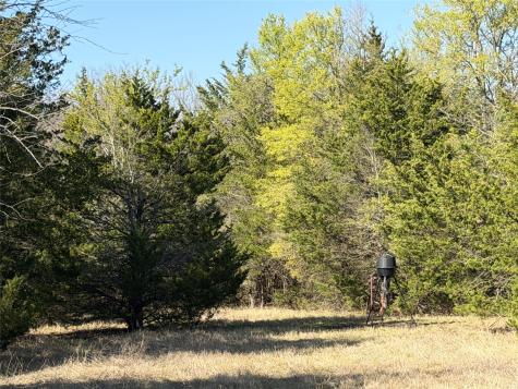 Tbd Crews Road Bells TX 75414