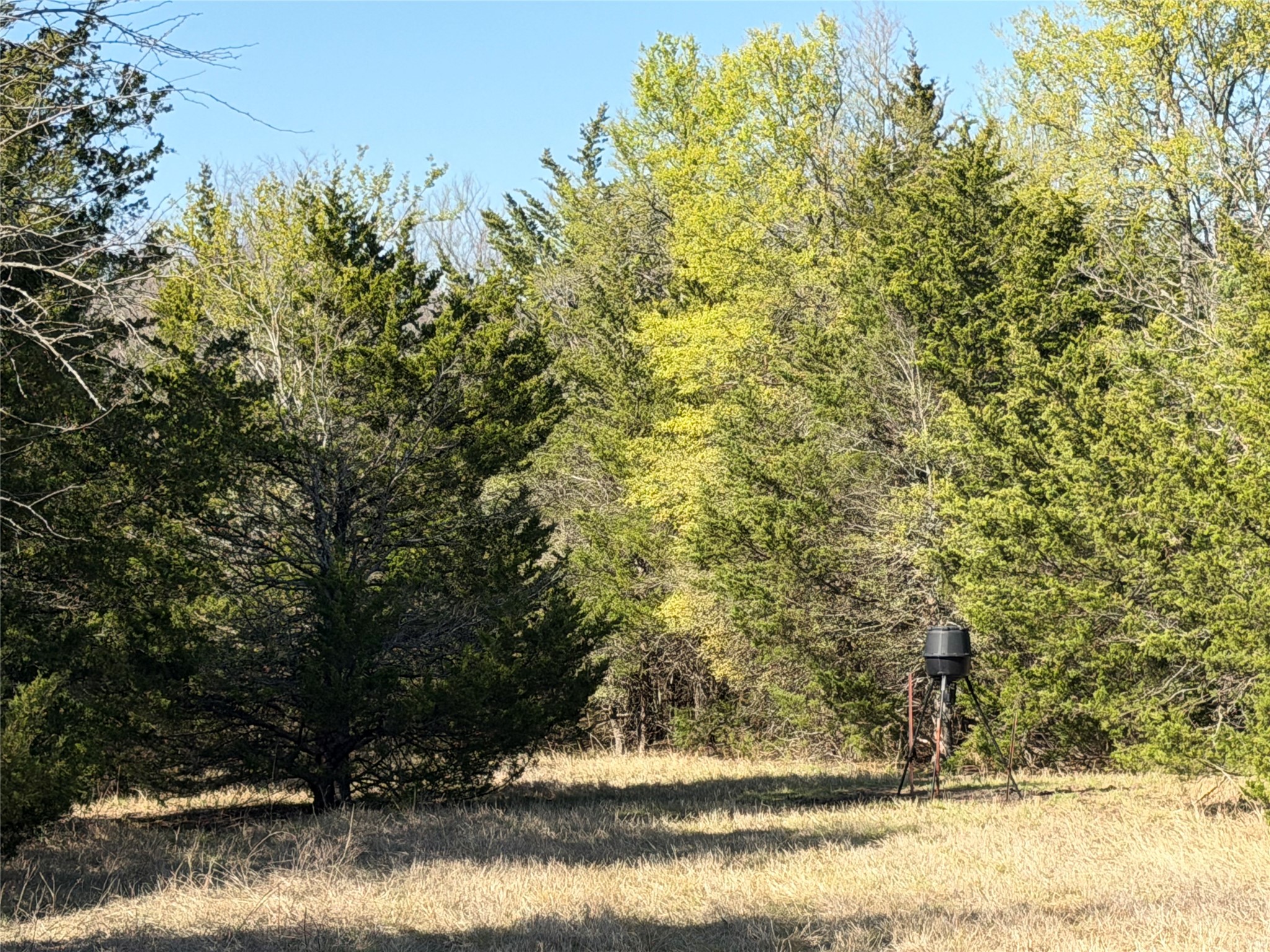 Tbd Crews Road Bells TX 75414