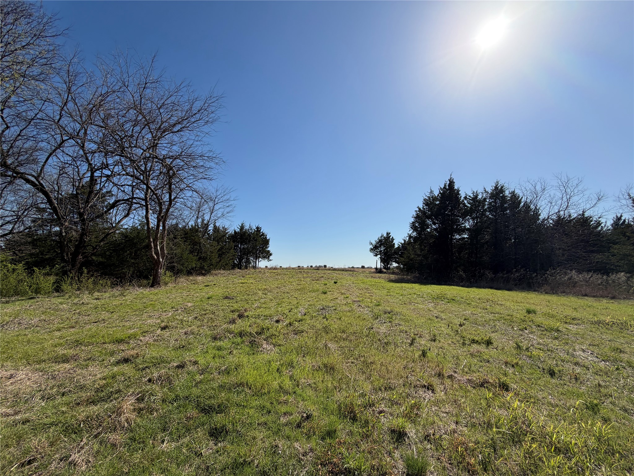 Tbd Crews Road Bells TX 75414