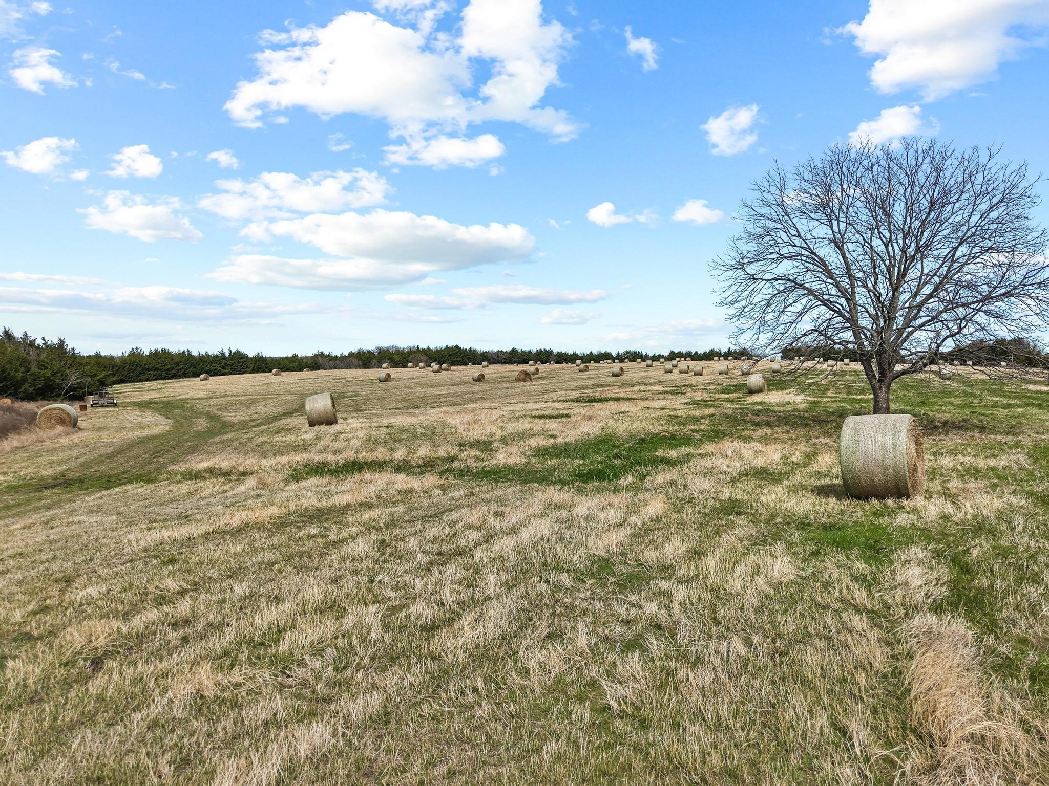 Tbd Crews Road Bells TX 75414