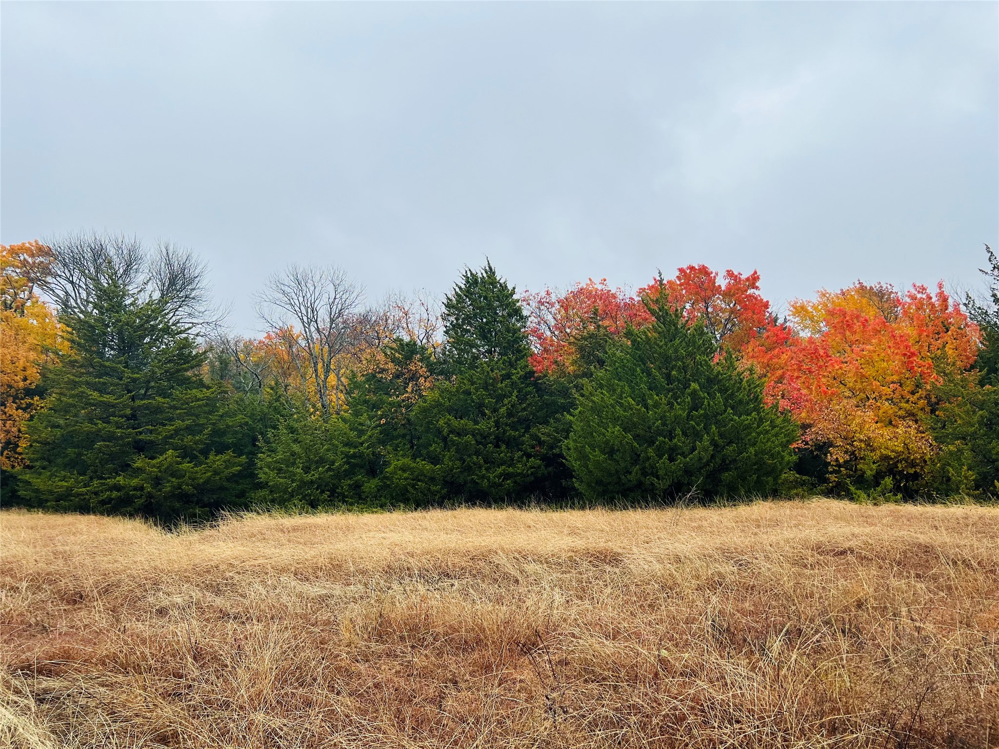 Tbd Crews Road Bells TX 75414