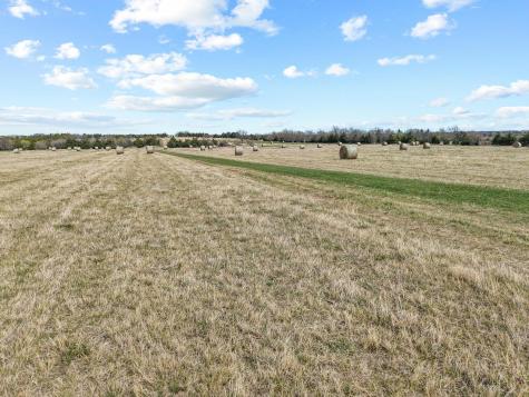 Tbd Crews Road Bells TX 75414
