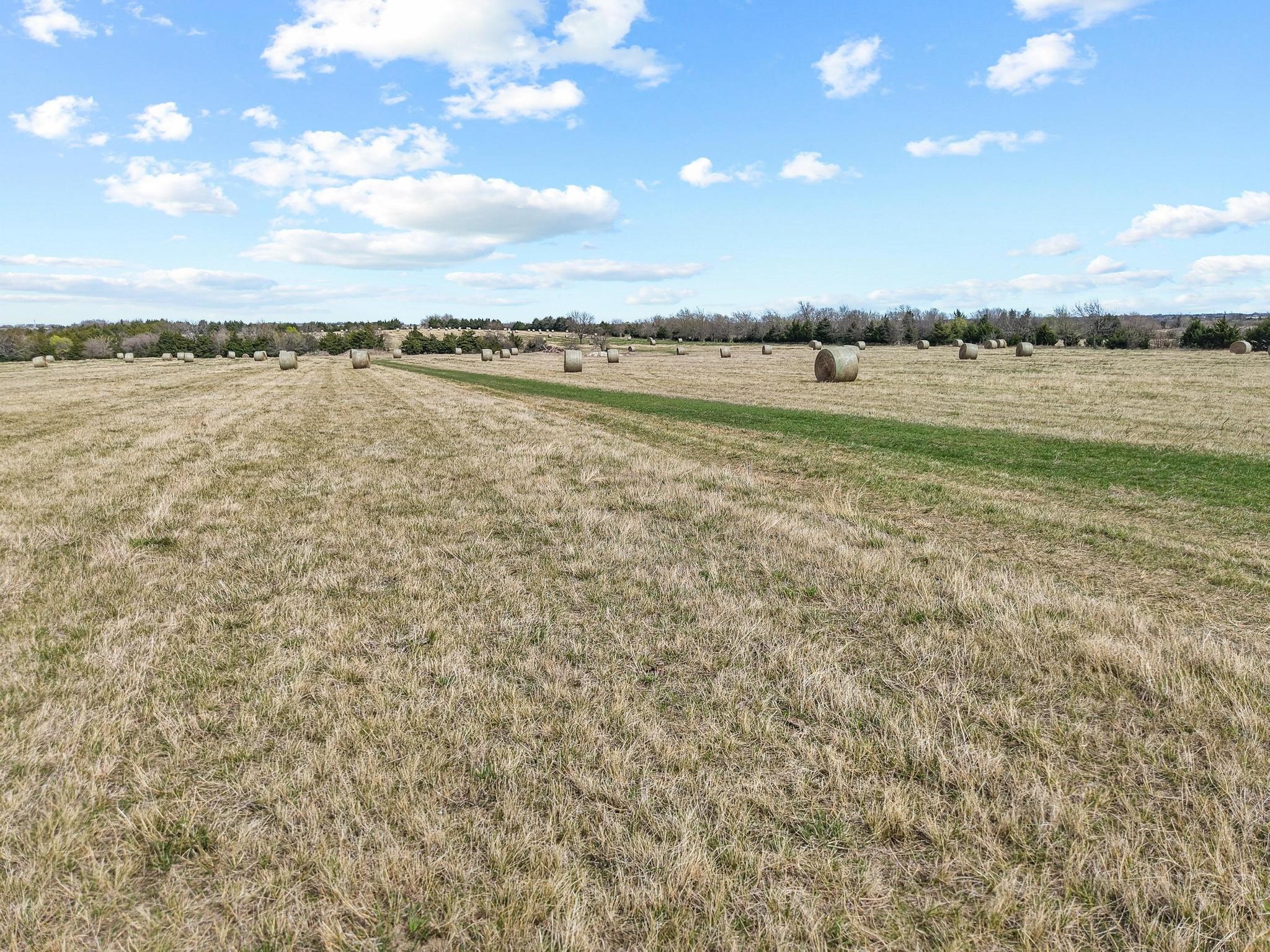 Tbd Crews Road Bells TX 75414