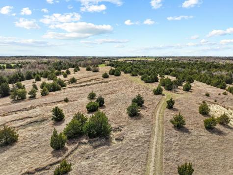 Tbd Crews Road Bells TX 75414