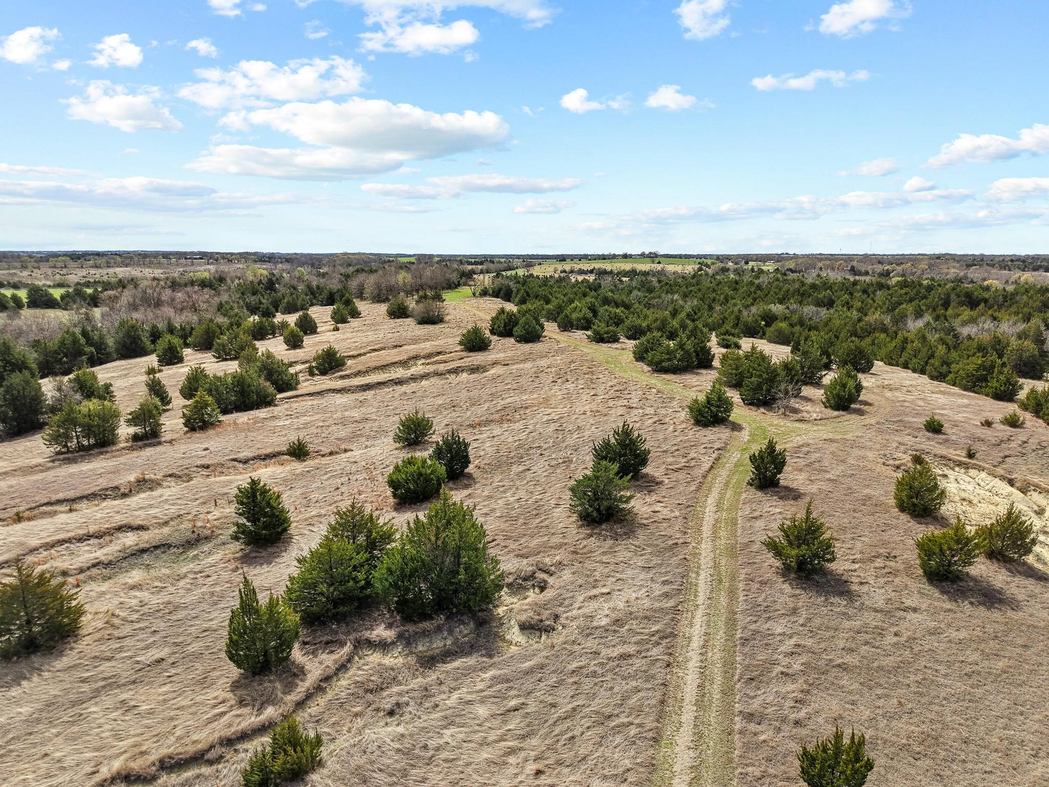 Tbd Crews Road Bells TX 75414