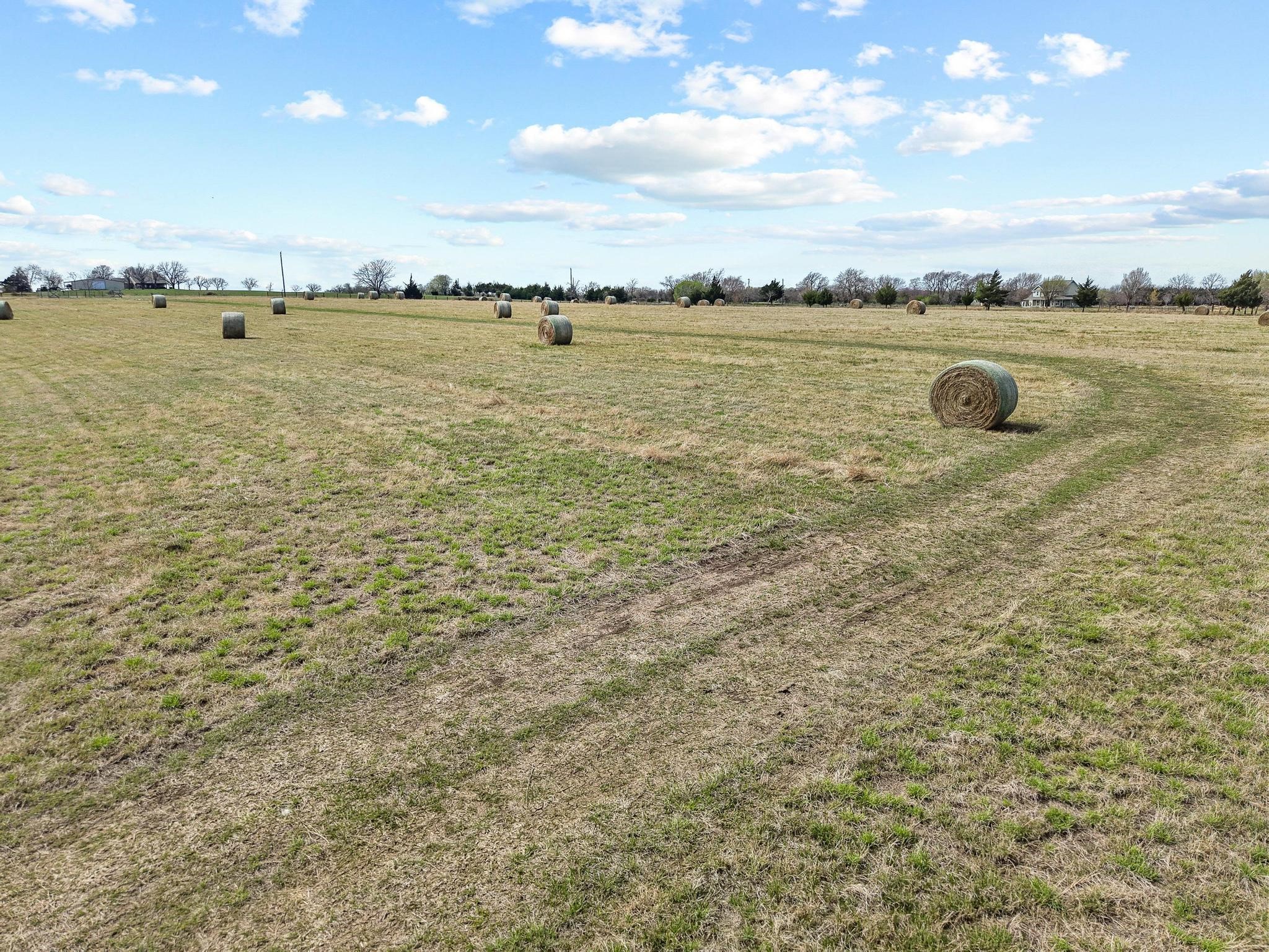 Tbd Crews Road Bells TX 75414