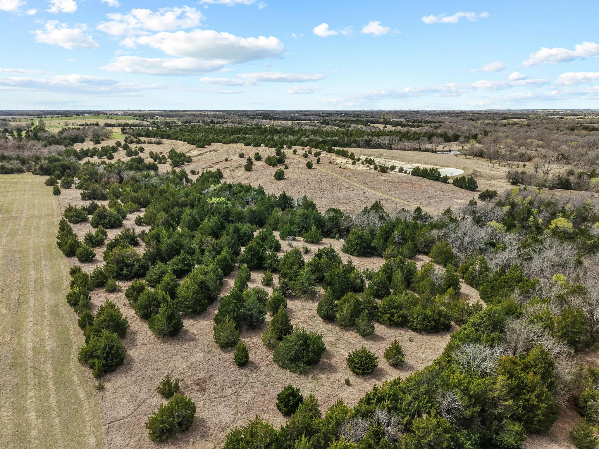 Tbd Crews Road Bells TX 75414