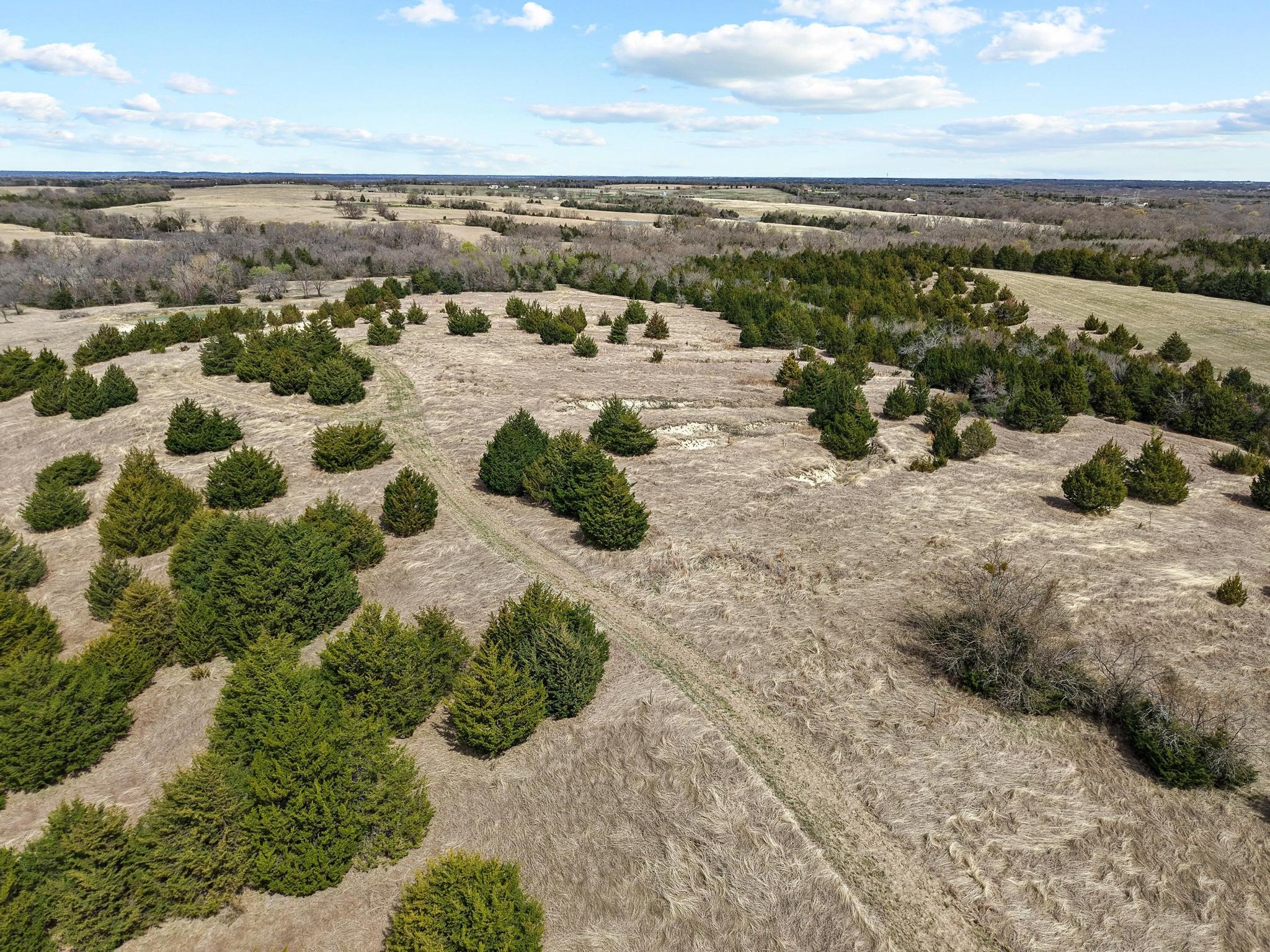 Tbd Crews Road Bells TX 75414