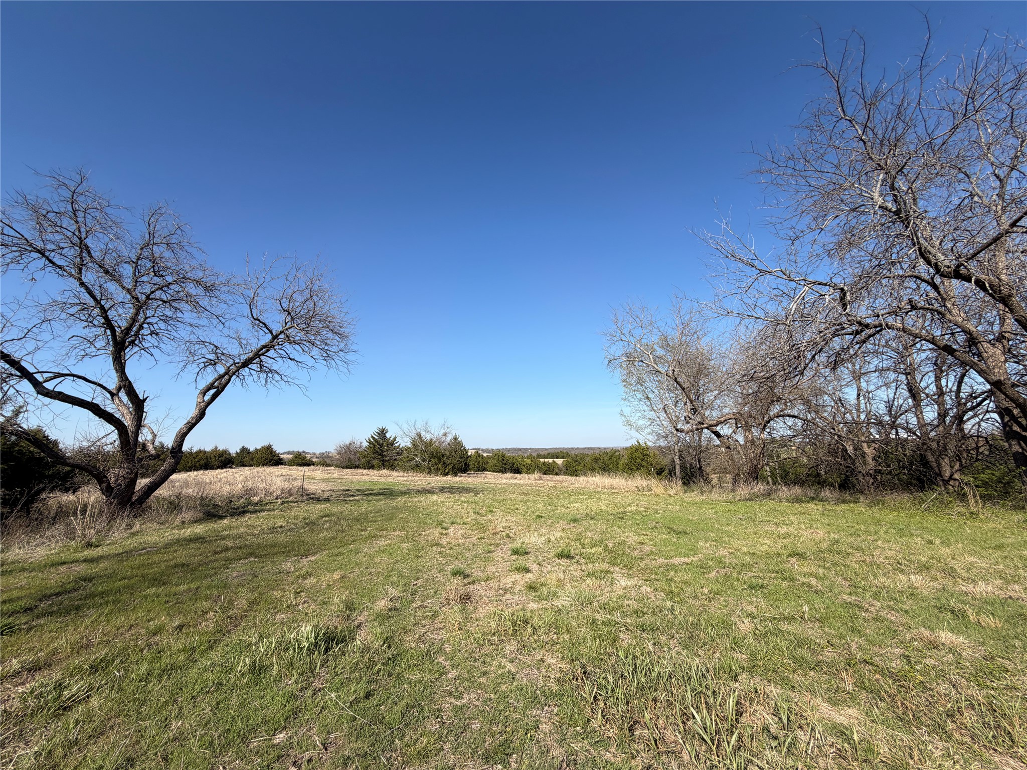 Tbd Crews Road Bells TX 75414