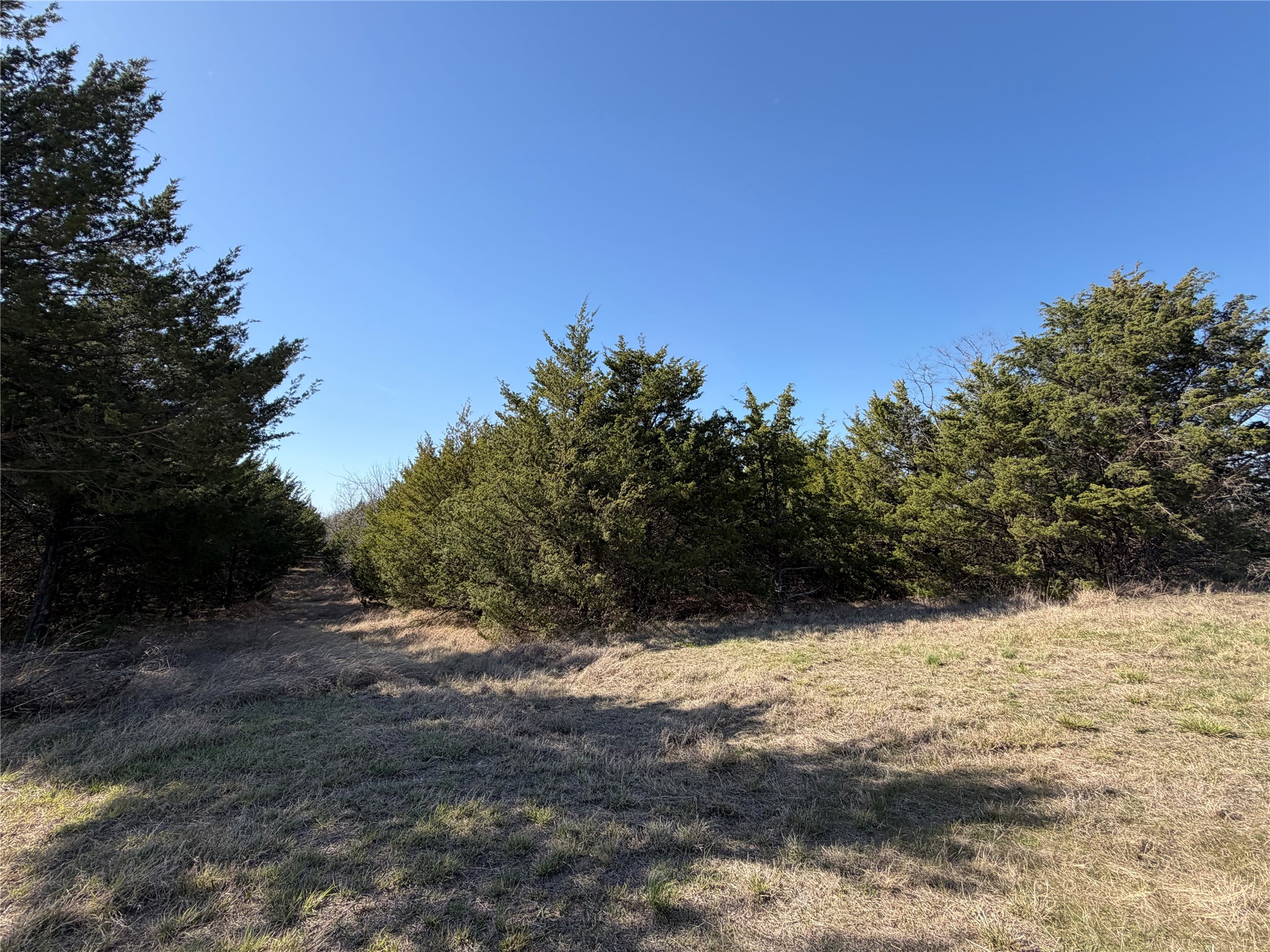 Tbd Crews Road Bells TX 75414