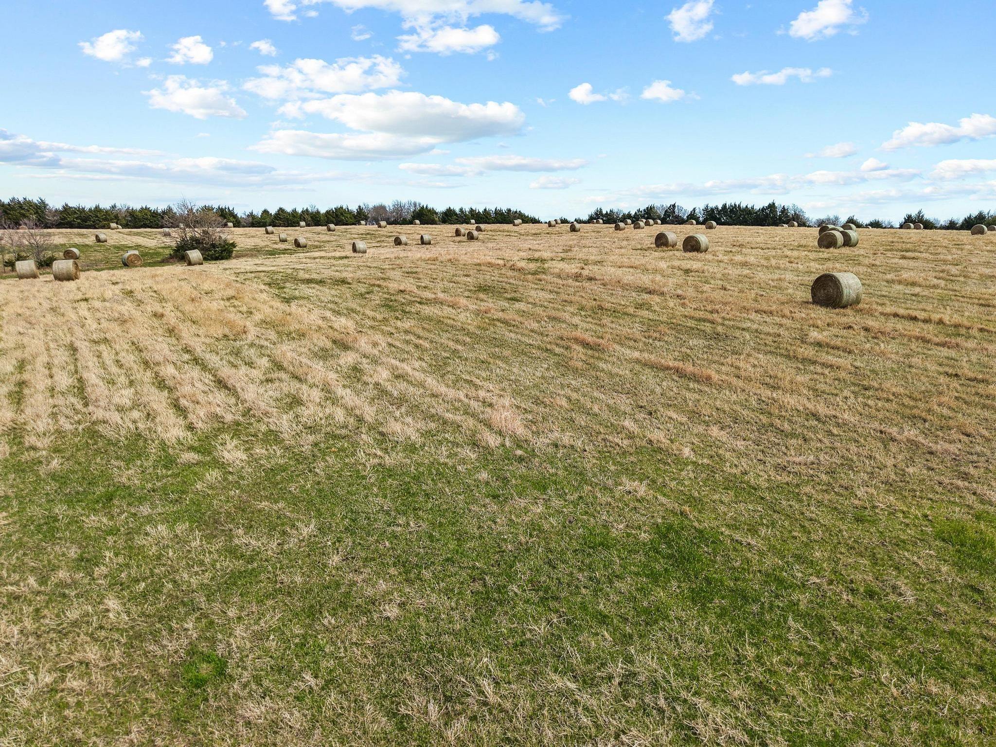 Tbd Crews Road Bells TX 75414