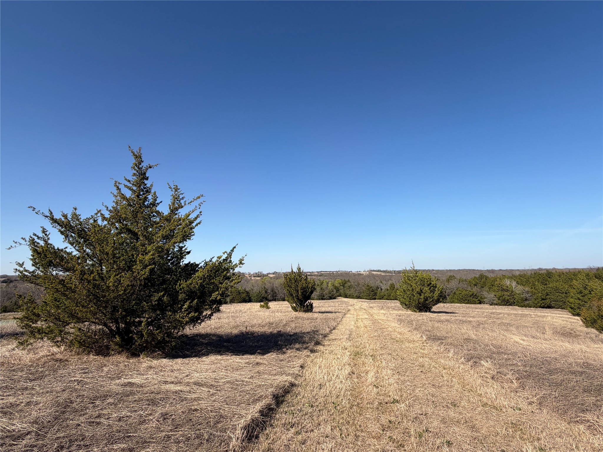 Tbd Crews Road Bells TX 75414