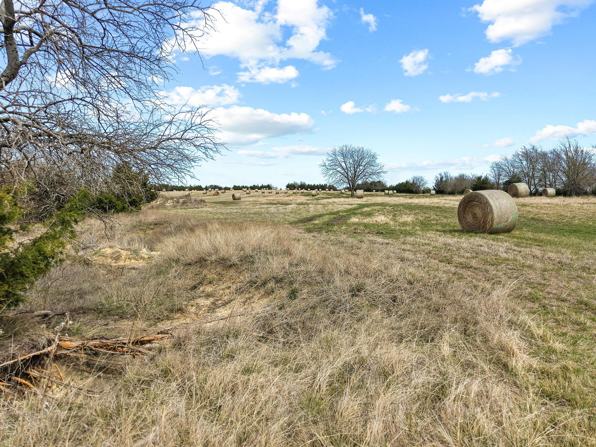 Tbd Crews Road Bells TX 75414