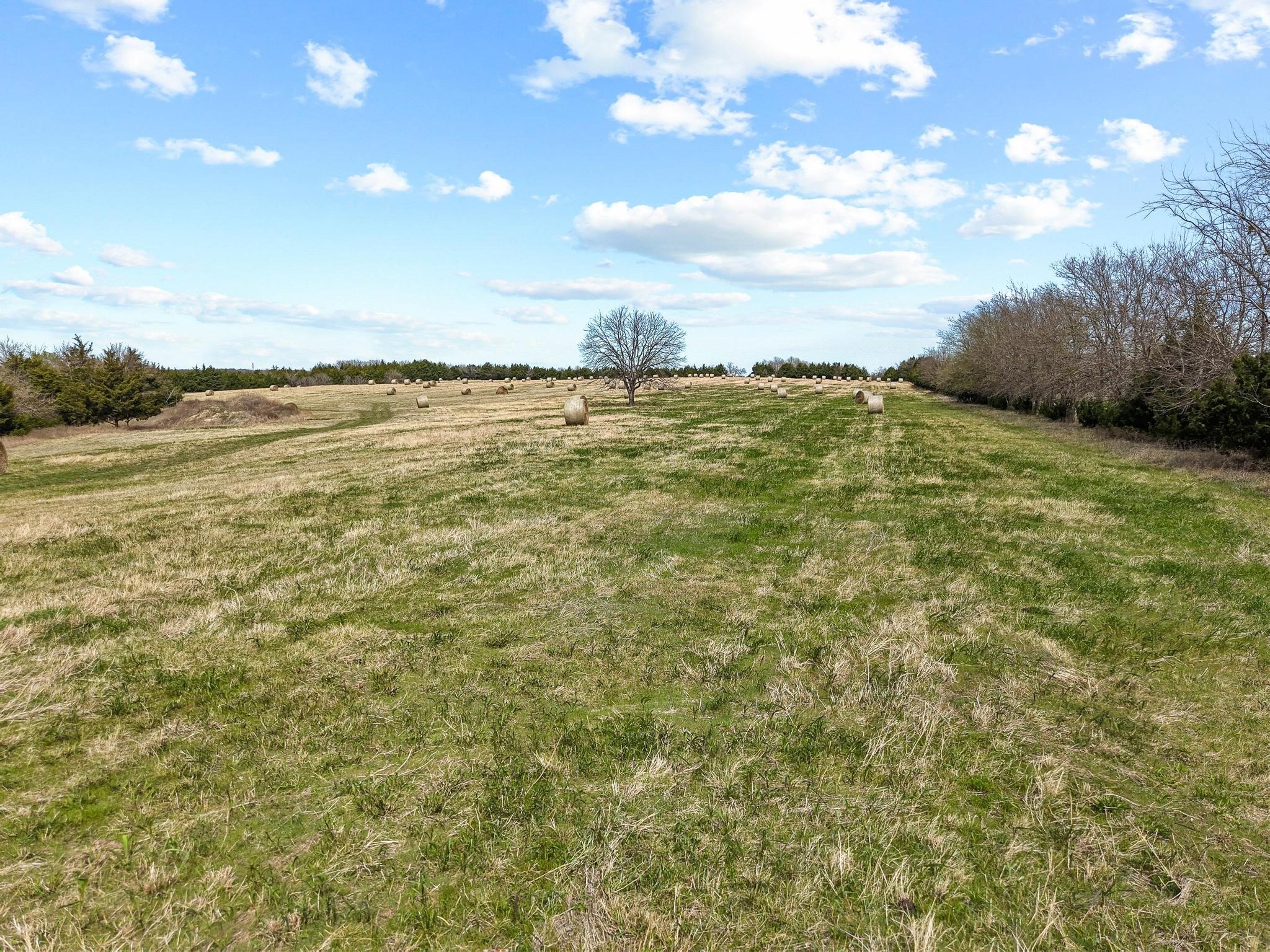 Tbd Crews Road Bells TX 75414
