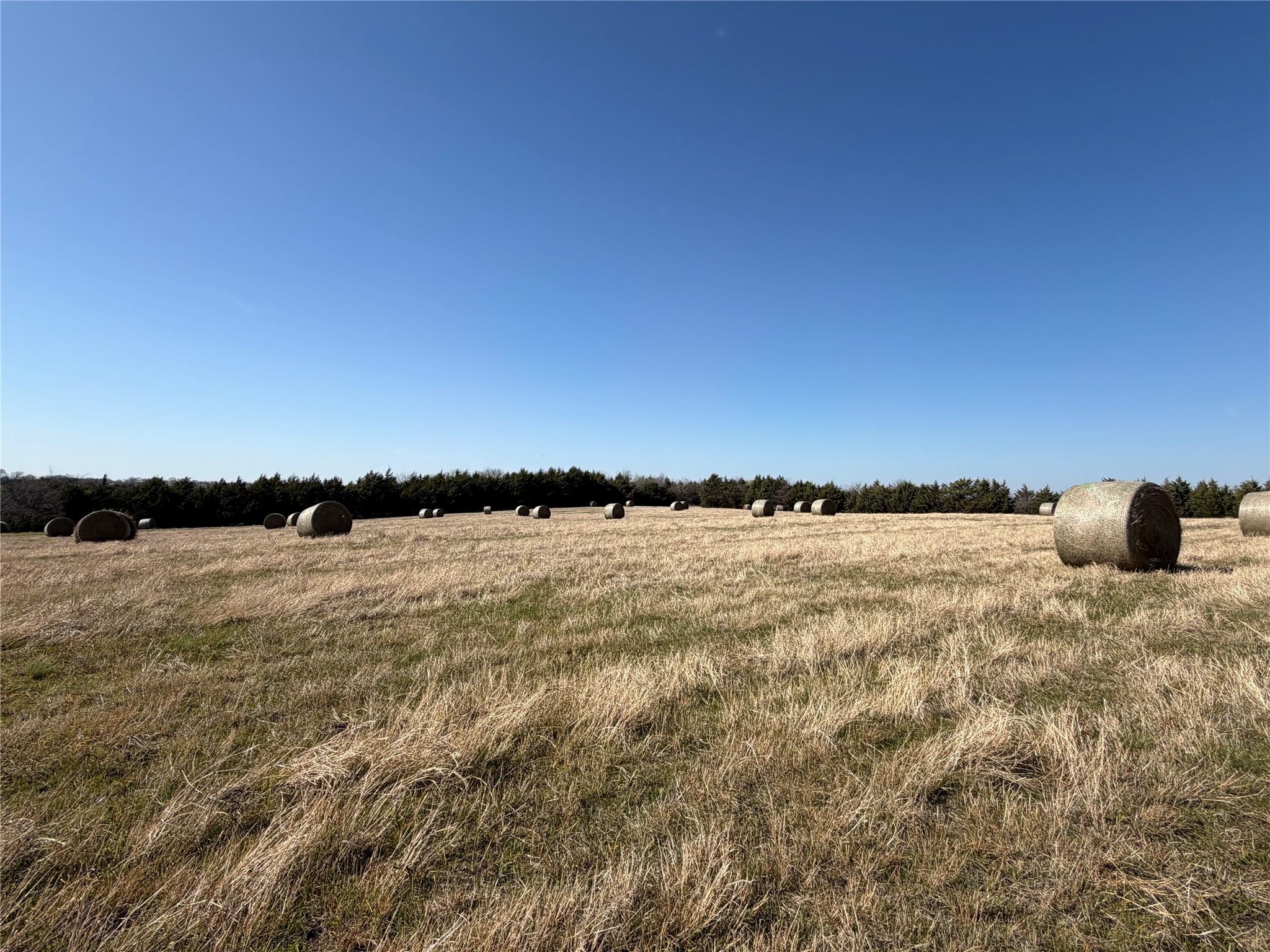 Tbd Crews Road Bells TX 75414