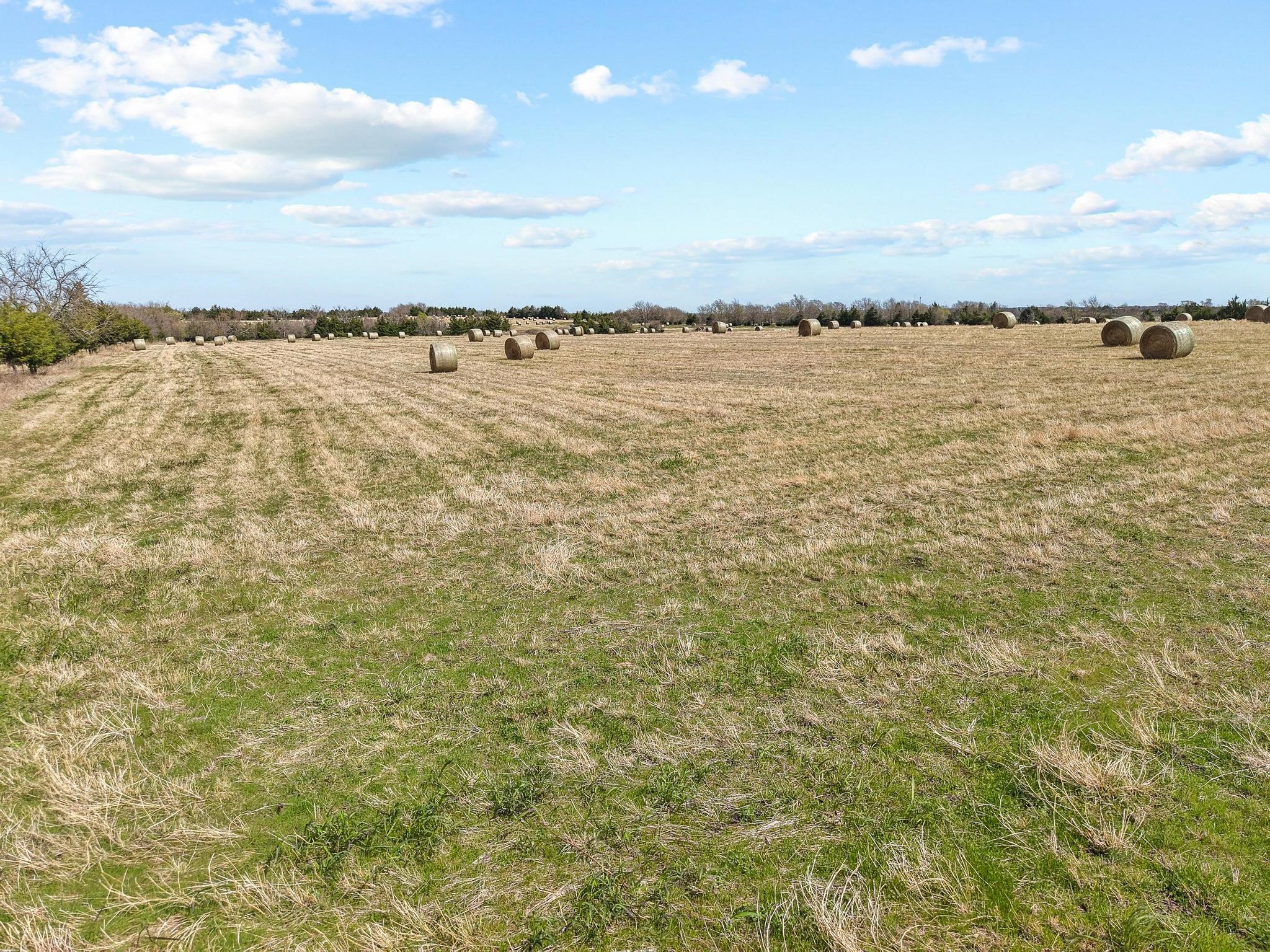 Tbd Crews Road Bells TX 75414