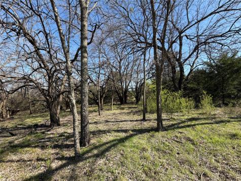 Tbd Crews Road Bells TX 75414