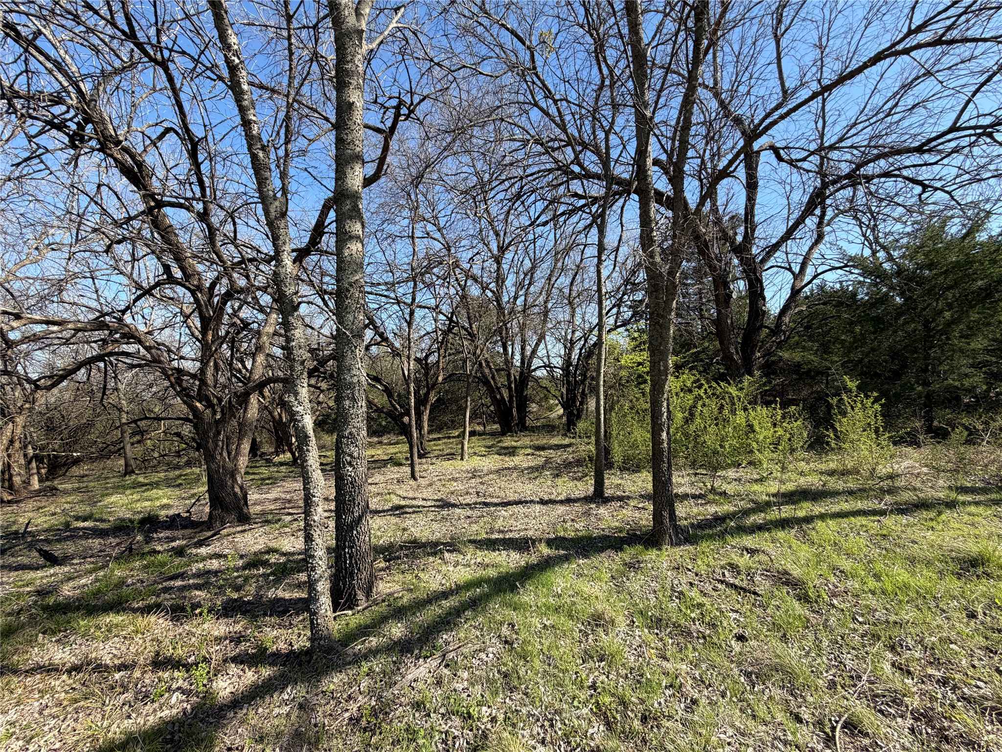 Tbd Crews Road Bells TX 75414