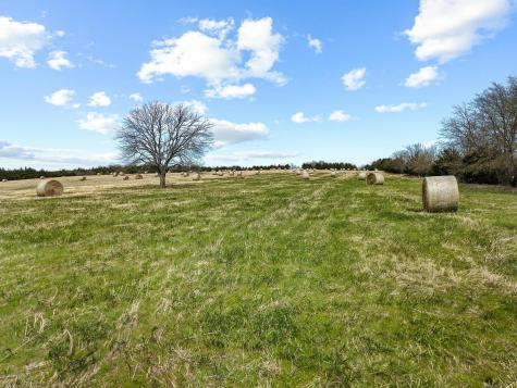 Tbd Crews Road Bells TX 75414