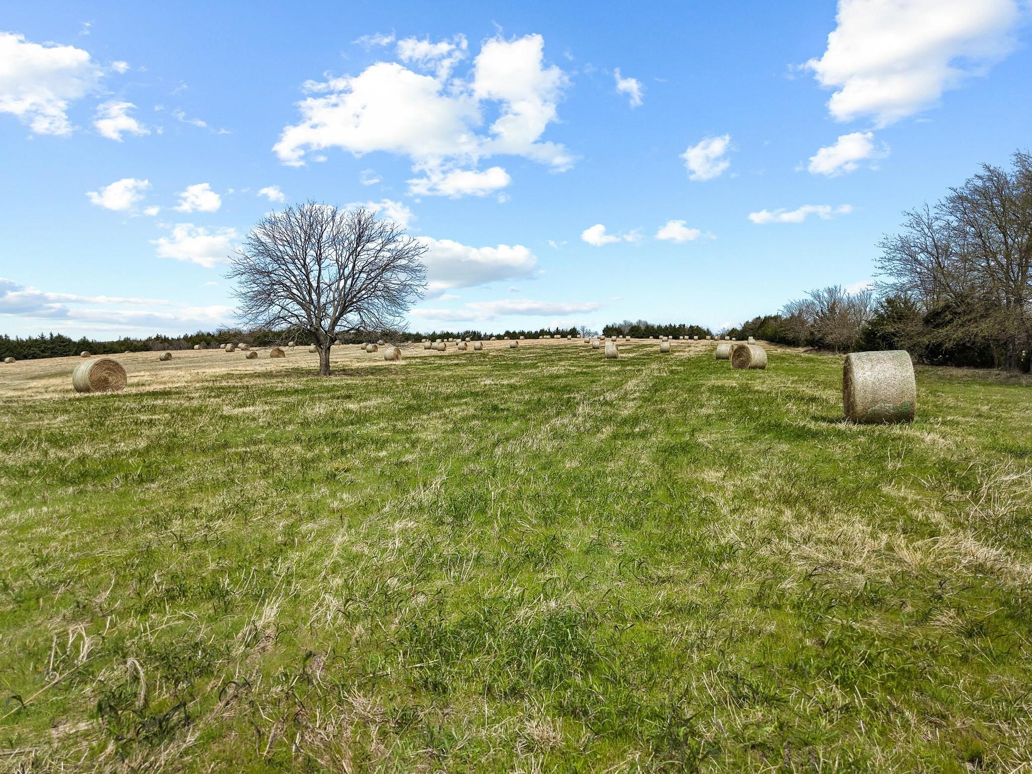 Tbd Crews Road Bells TX 75414