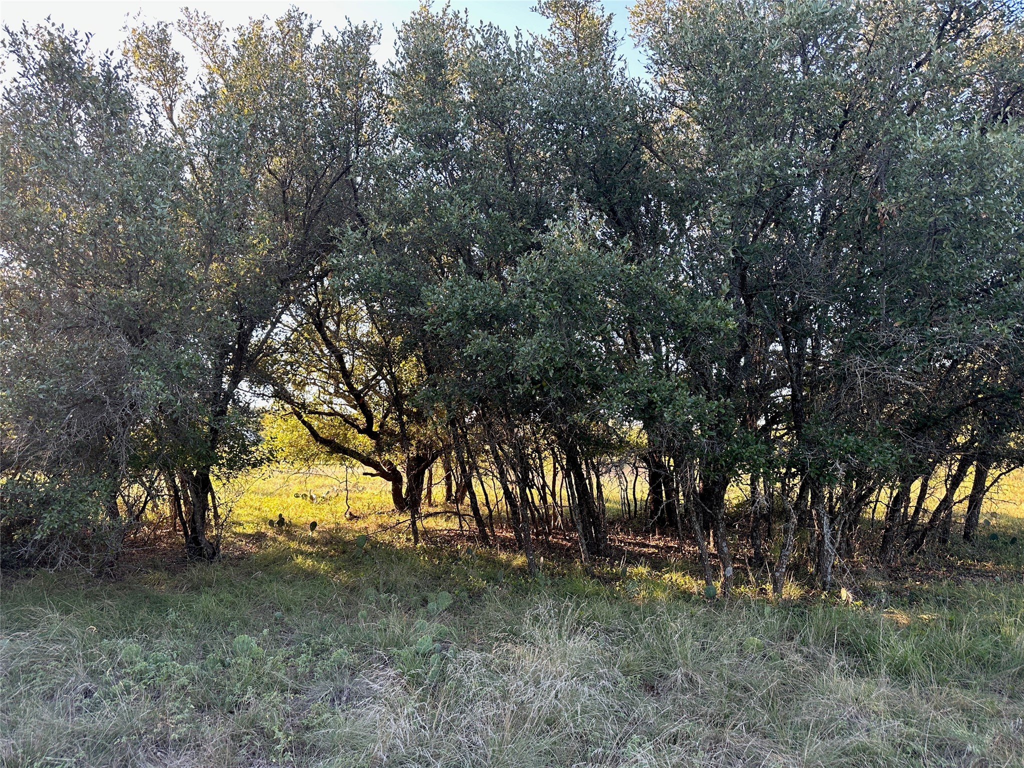 263 Feather Bay Drive Brownwood TX 76801