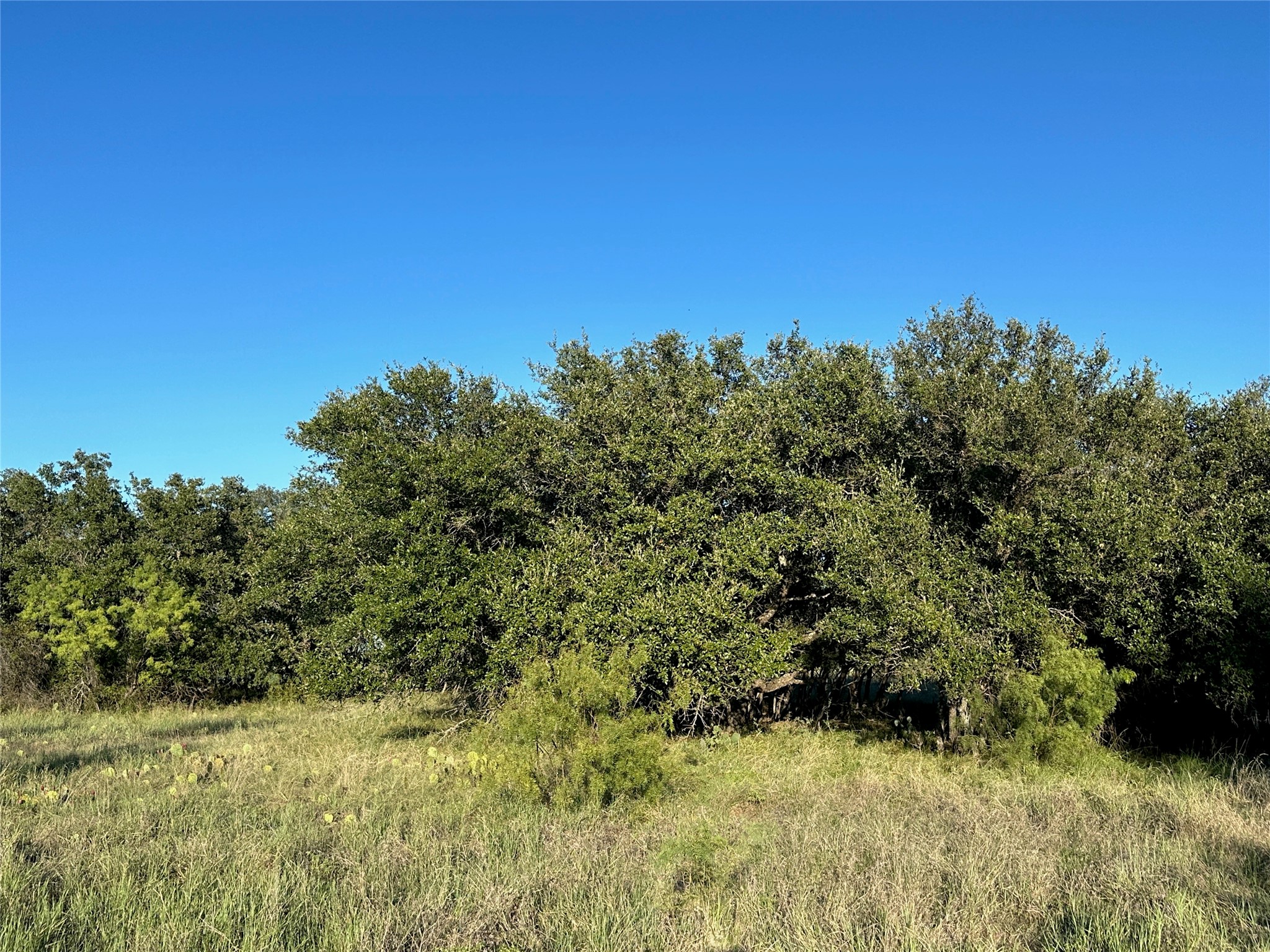 263 Feather Bay Drive Brownwood TX 76801