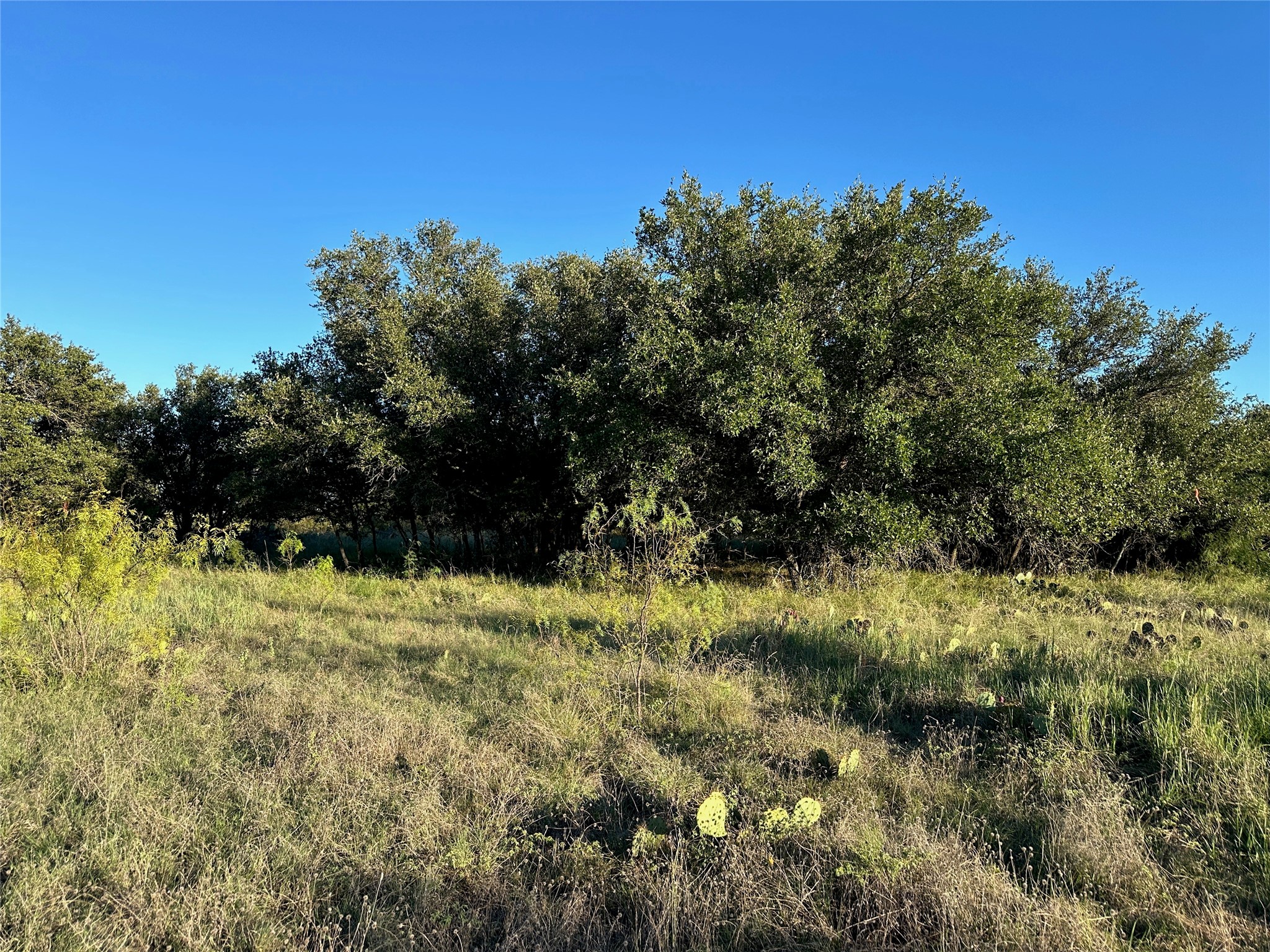 263 Feather Bay Drive Brownwood TX 76801
