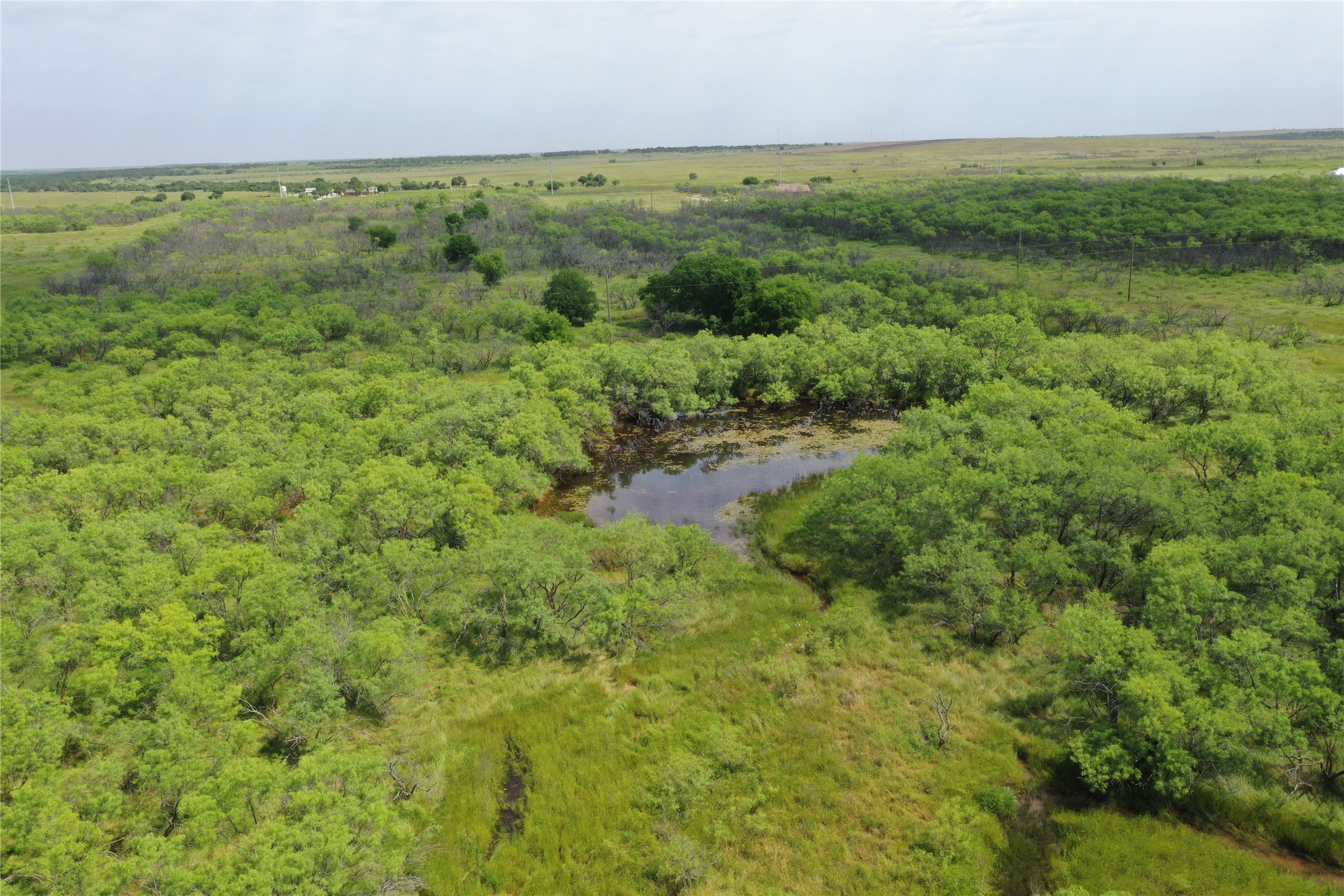 Tbd Fm 2321 Bellevue TX 76228