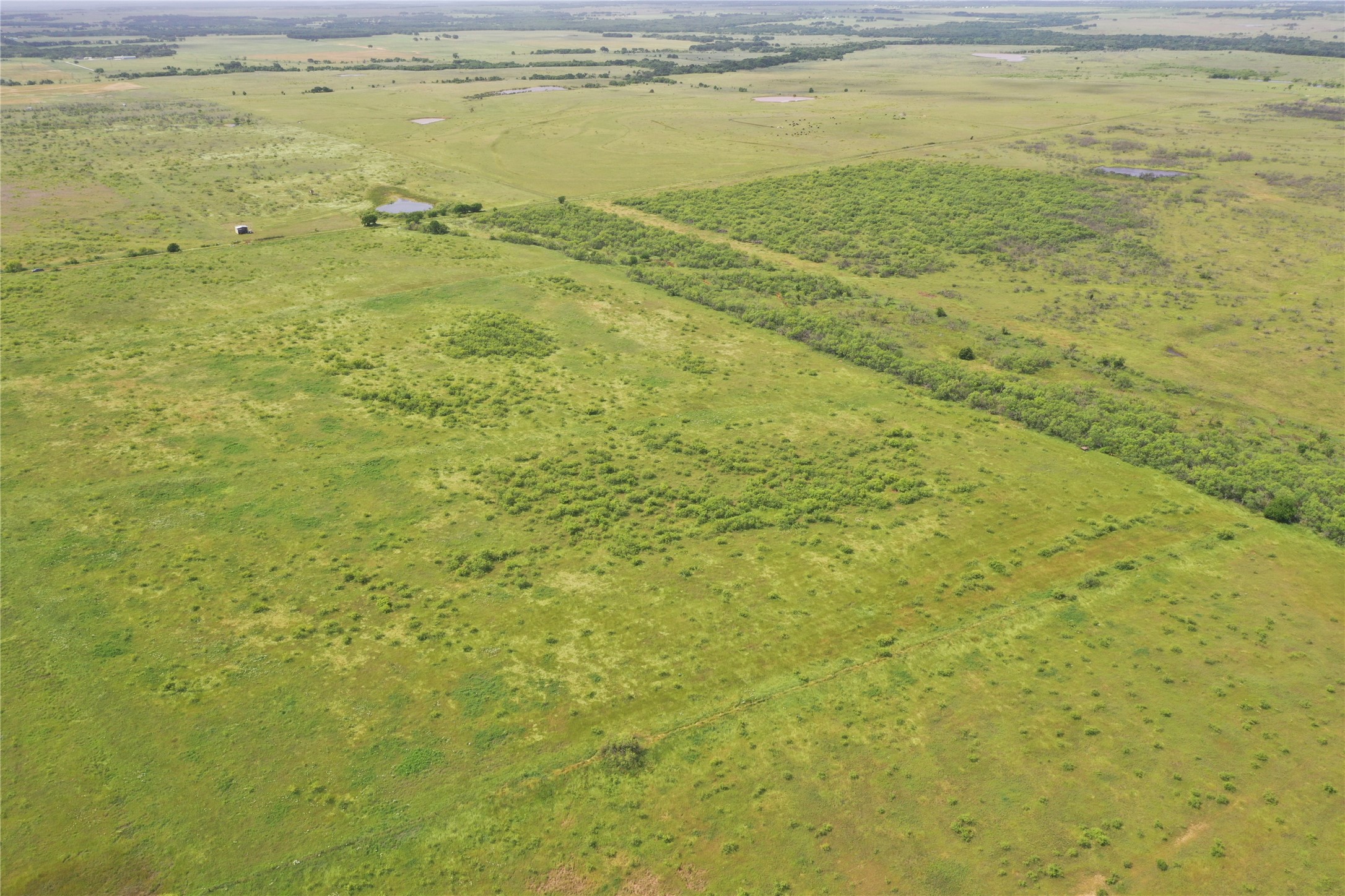 Tbd Fm 2321 Bellevue TX 76228