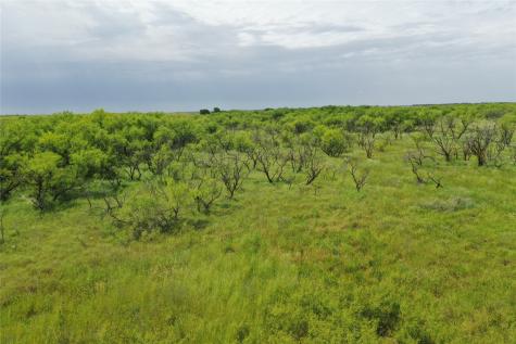 Tbd Fm 2321 Bellevue TX 76228
