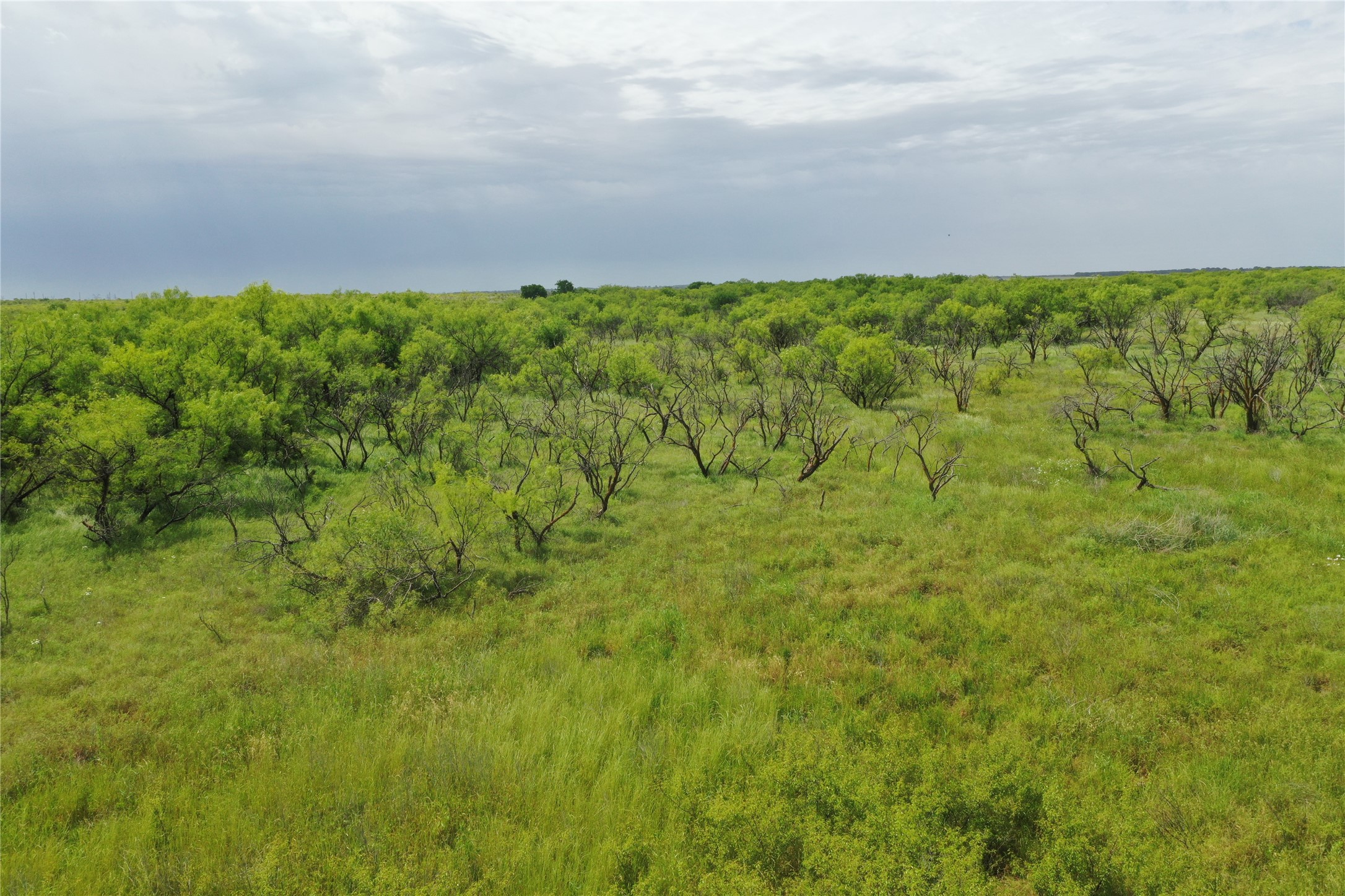 Tbd Fm 2321 Bellevue TX 76228