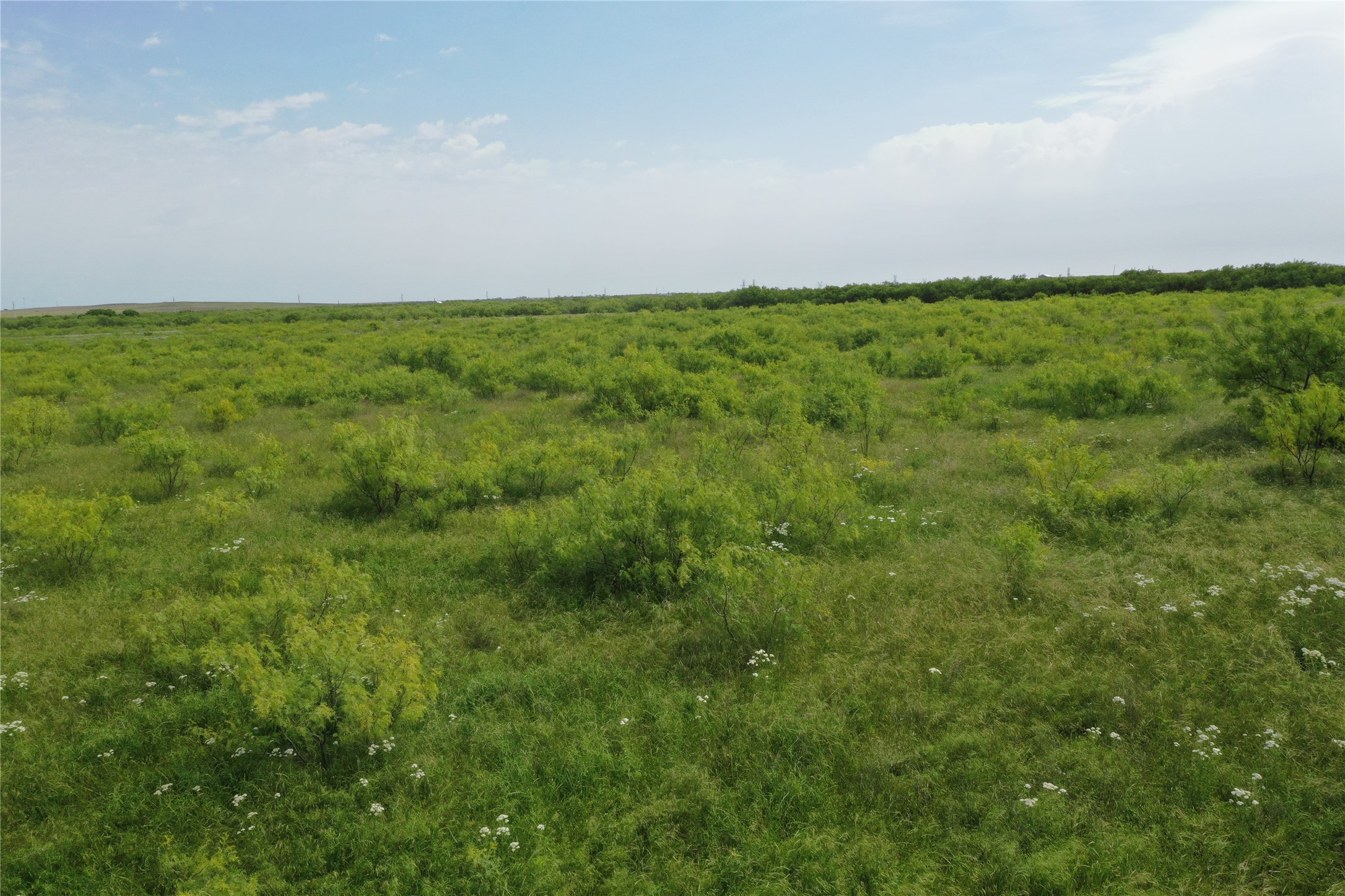 Tbd Fm 2321 Bellevue TX 76228