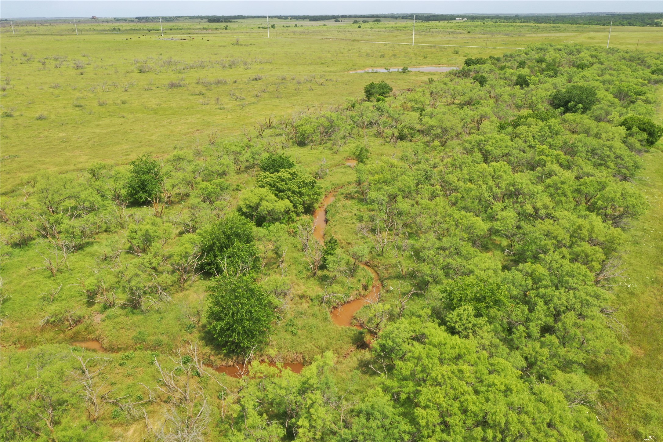 Tbd Fm 2321 Bellevue TX 76228