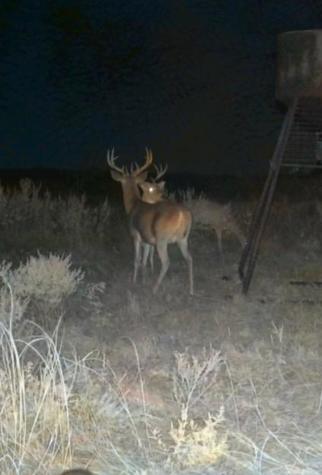 Tbd Fm 2321 Bellevue TX 76228