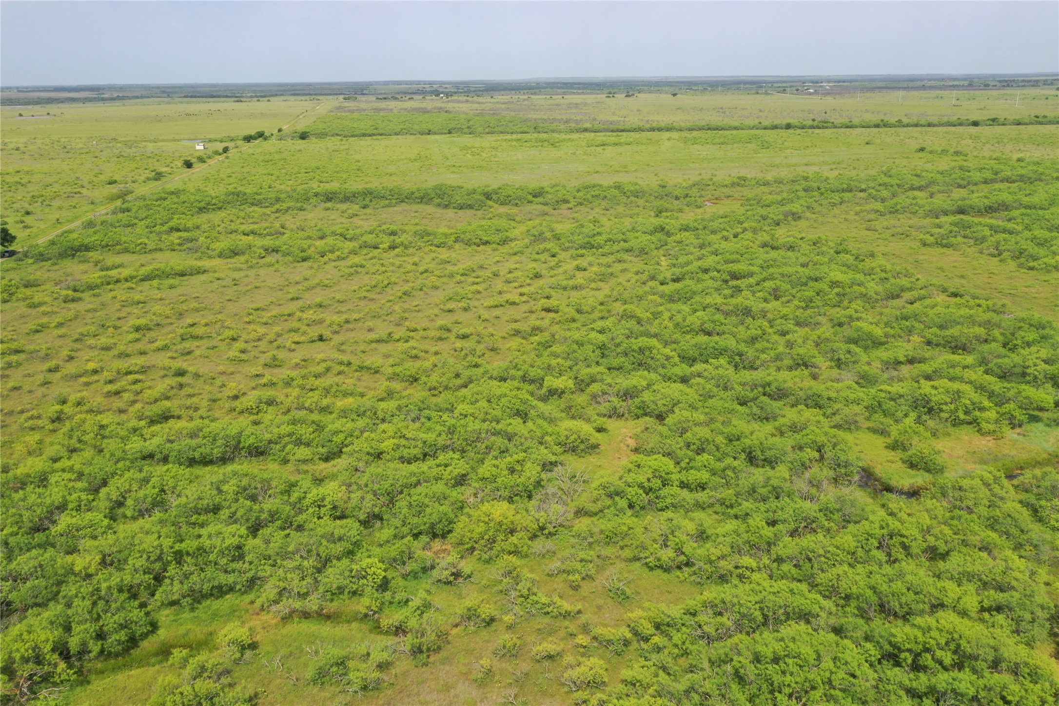 Tbd Fm 2321 Bellevue TX 76228