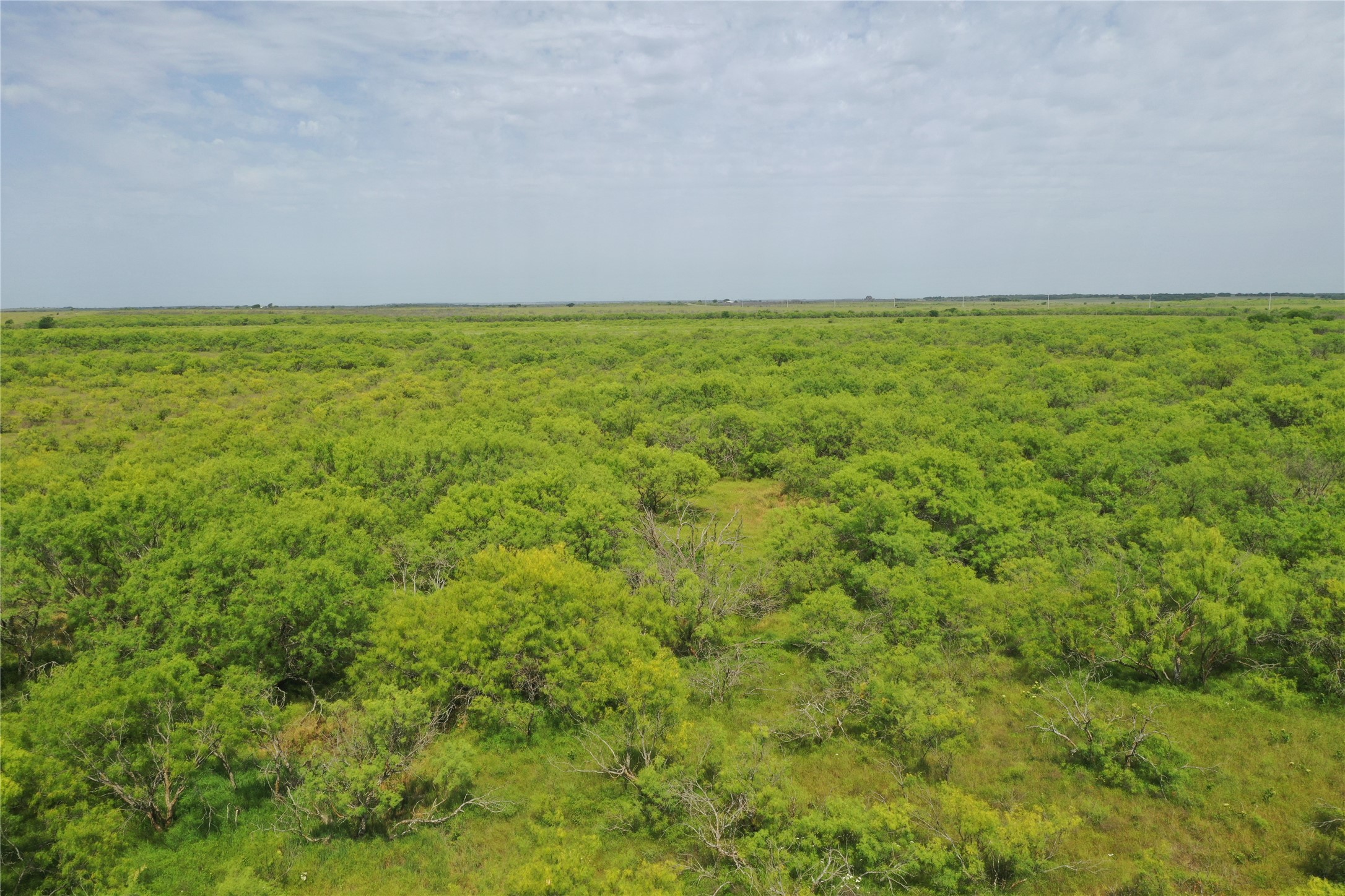 Tbd Fm 2321 Bellevue TX 76228