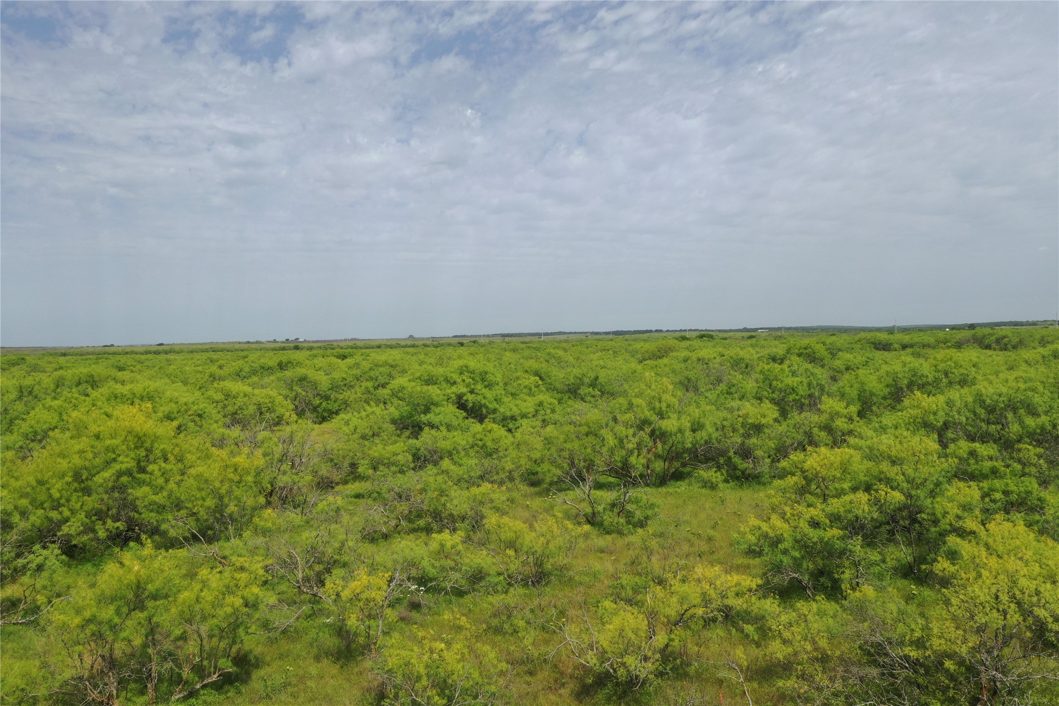 Tbd Fm 2321 Bellevue TX 76228