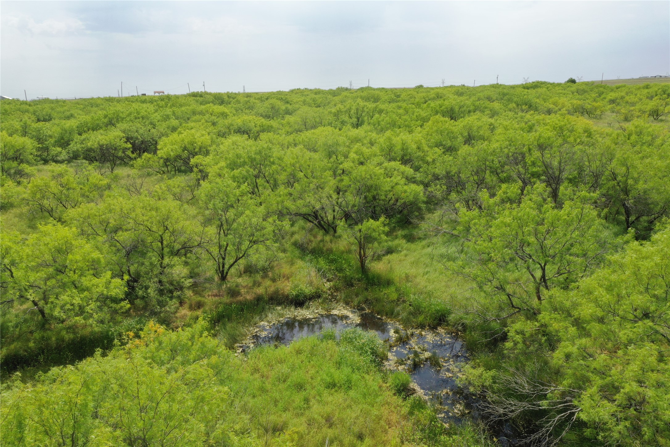 Tbd Fm 2321 Bellevue TX 76228