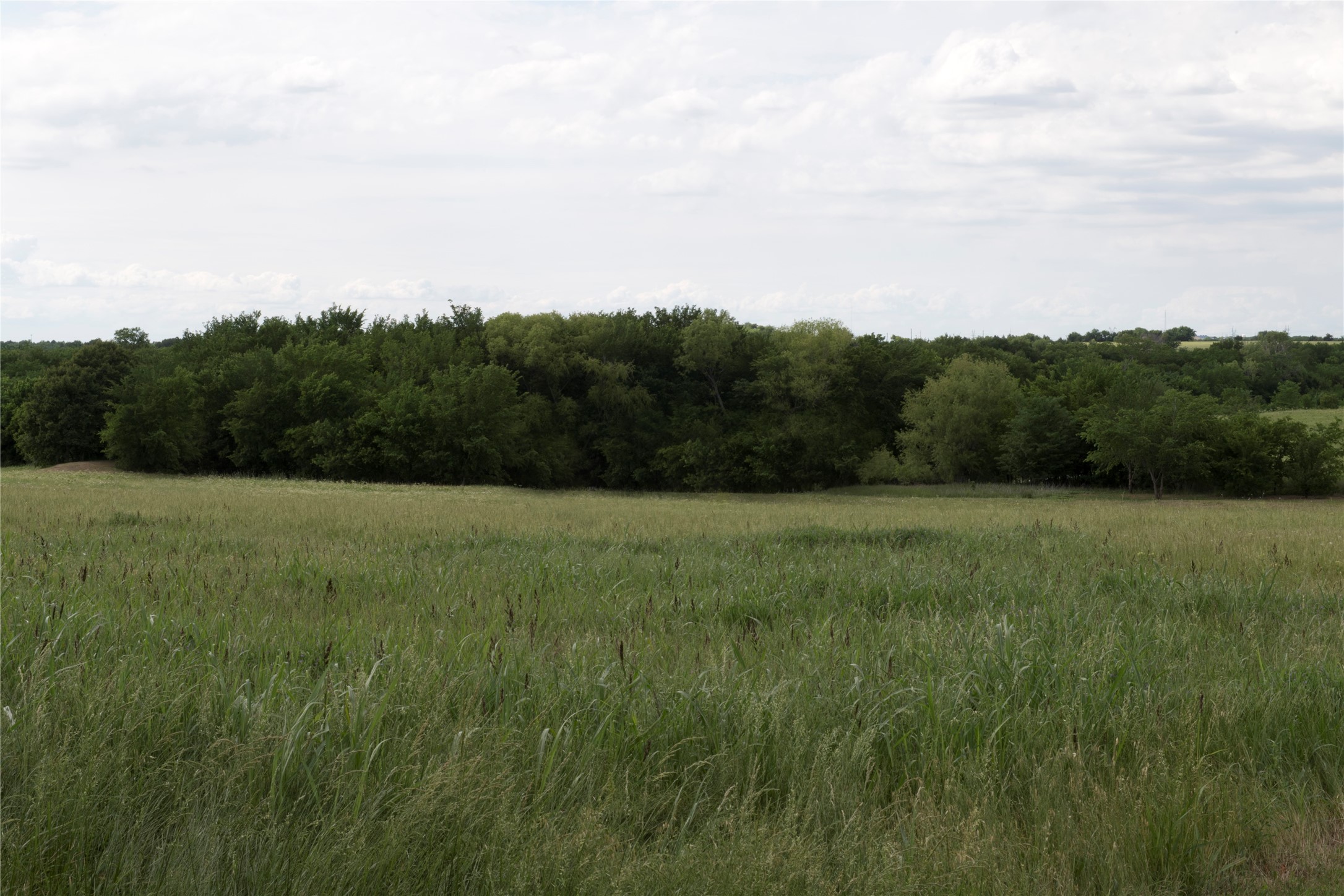 TBD3 County Road 173 Celina TX 75009