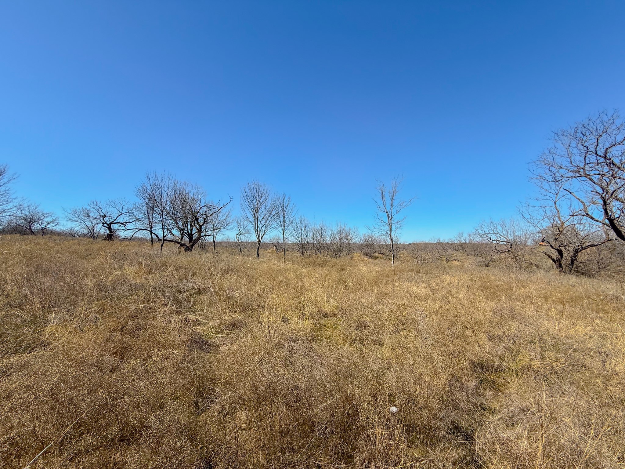 362 Meadow Pond Bridgeport TX 76426