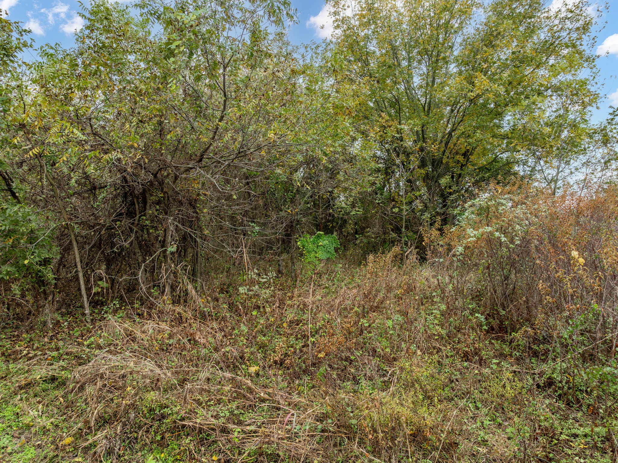 22064 Greenbriar Drive Whitney TX 76692