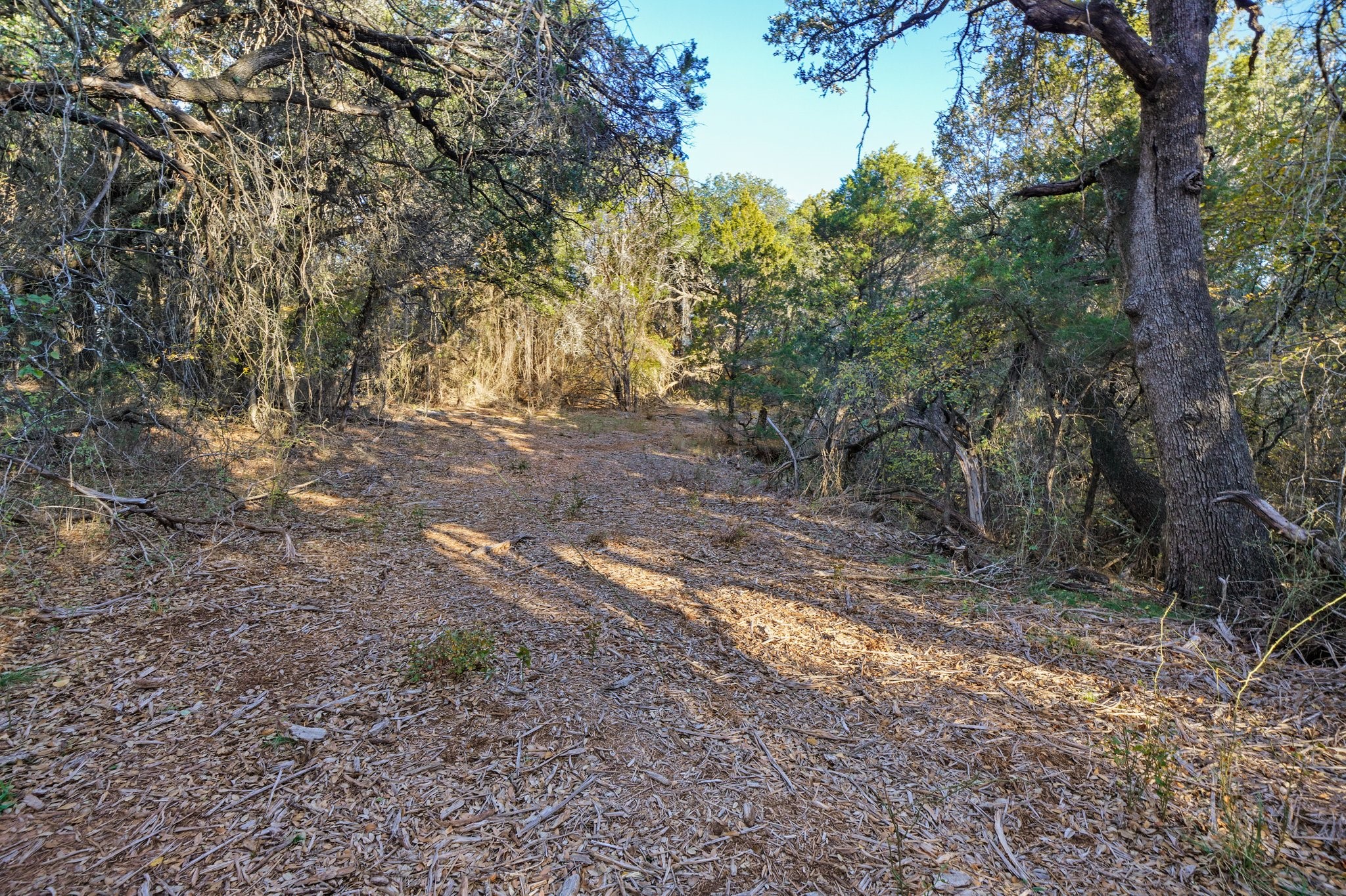 3061 Canyon Ranch Road Palo Pinto TX 76484