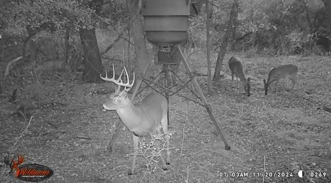 3061 Canyon Ranch Road Palo Pinto TX 76484